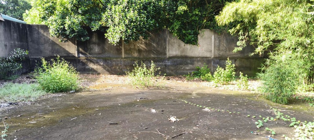 Bán Đất Tại Khu Phố Đông Tư Phường Lái Thiêu, Tp. Hcm. Giá Cực Chất 6,5 Tỷ Cho 268M2