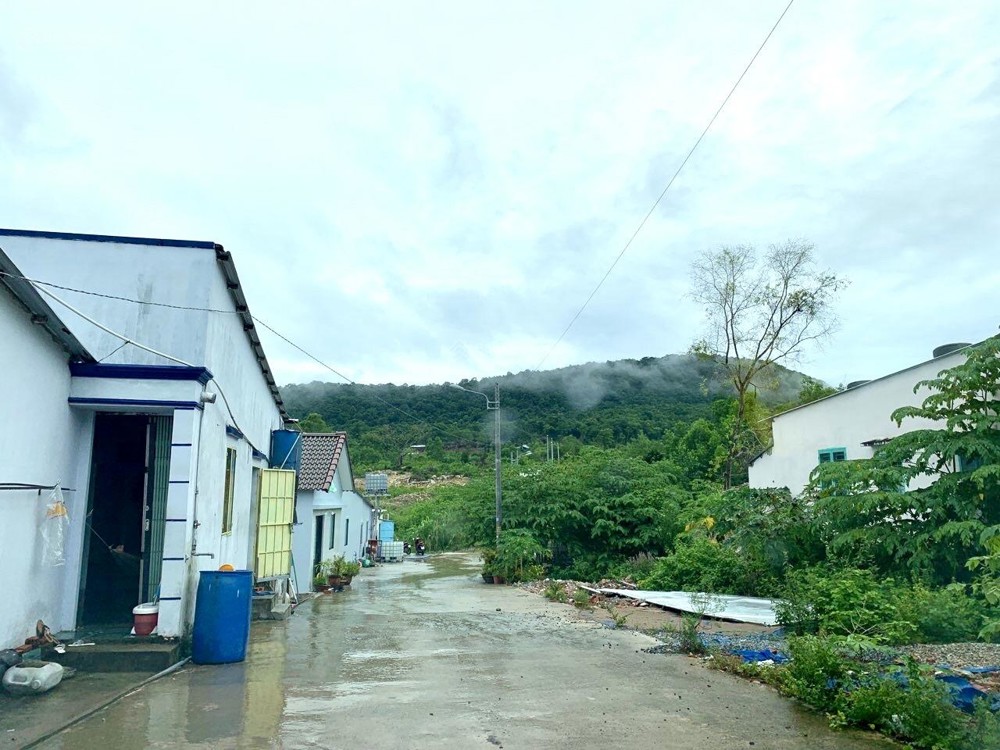 Bán Đất Thổ Cư Diện Tích 1000M2 Tại Đặc Khu Phú Quốc