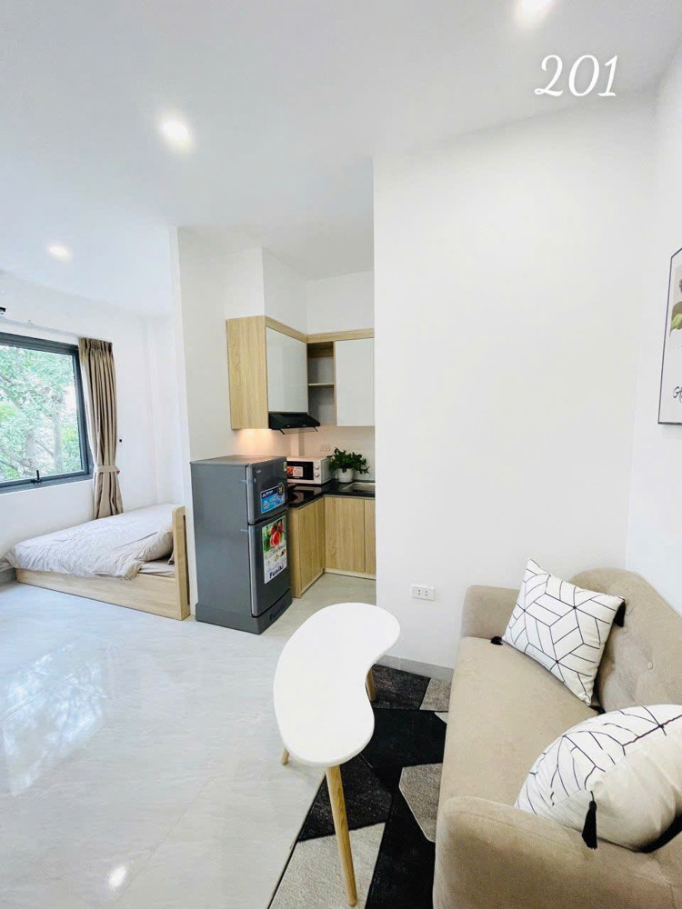 Cho Thuê Ccmn Đẹp Cửa Sổ Thoáng Trần Đại Nghĩa , Hai Bà Trưng