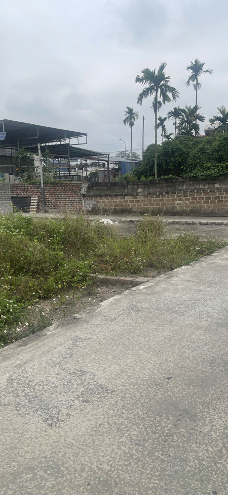 Chính Chủ Gửi Bán 2 Lô Đất Liền Kề – Cao Nhân, Thuỷ Nguyên, Hải Phòng