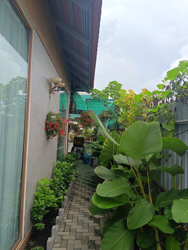 Đất Có Nhà Cấp 4 Cực Đẹp Hồ Bơi Cây Xanhbiệt Thự Vườn Cực Đẹp - Dt 1226M - 25 X 49M2giá Bán Chỉ