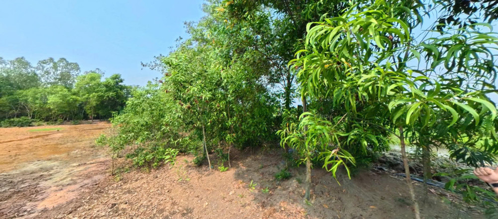 Đất View Sông - Sát Bên Cầu Bình Khánh 