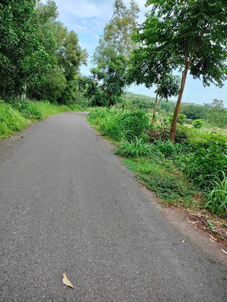 Đất Đẹp - Đầu Tư Sinh Lời - Bán Gấp Lô Đất Tiềm Năng Tại Suối Rao, Châu Đức, Bà Rịa Vũng Tàu