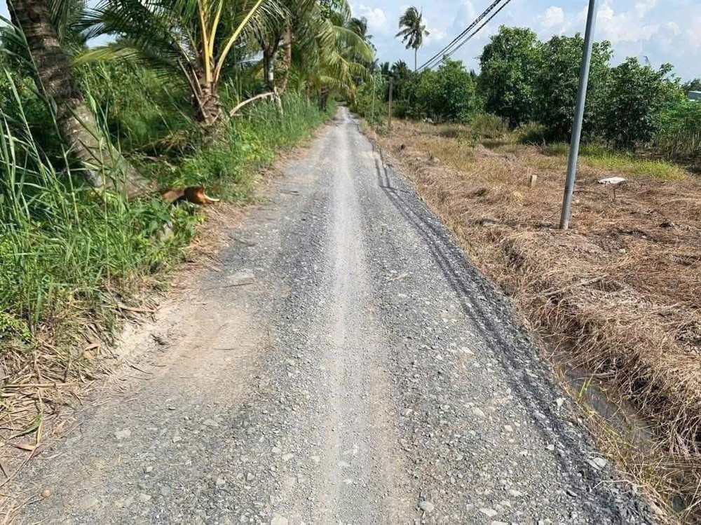 *** Đất Lúa Ấp 6 Bình Đức Bến Lức - Dt : 2000M2 — 1 Tỷ 6 Hết Diện Tích