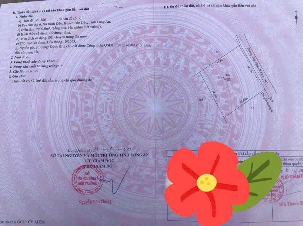 *** Đất Lúa Ấp 6 Bình Đức Bến Lức - Dt : 2000M2 — 1 Tỷ 6 Hết Diện Tích