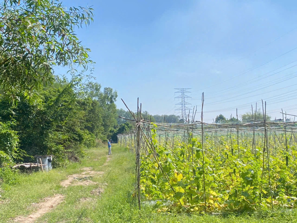 5.000M² Nhuận Đức – Full Thổ Cư – Xưởng + 20 Phòng Trọ Tặng Không