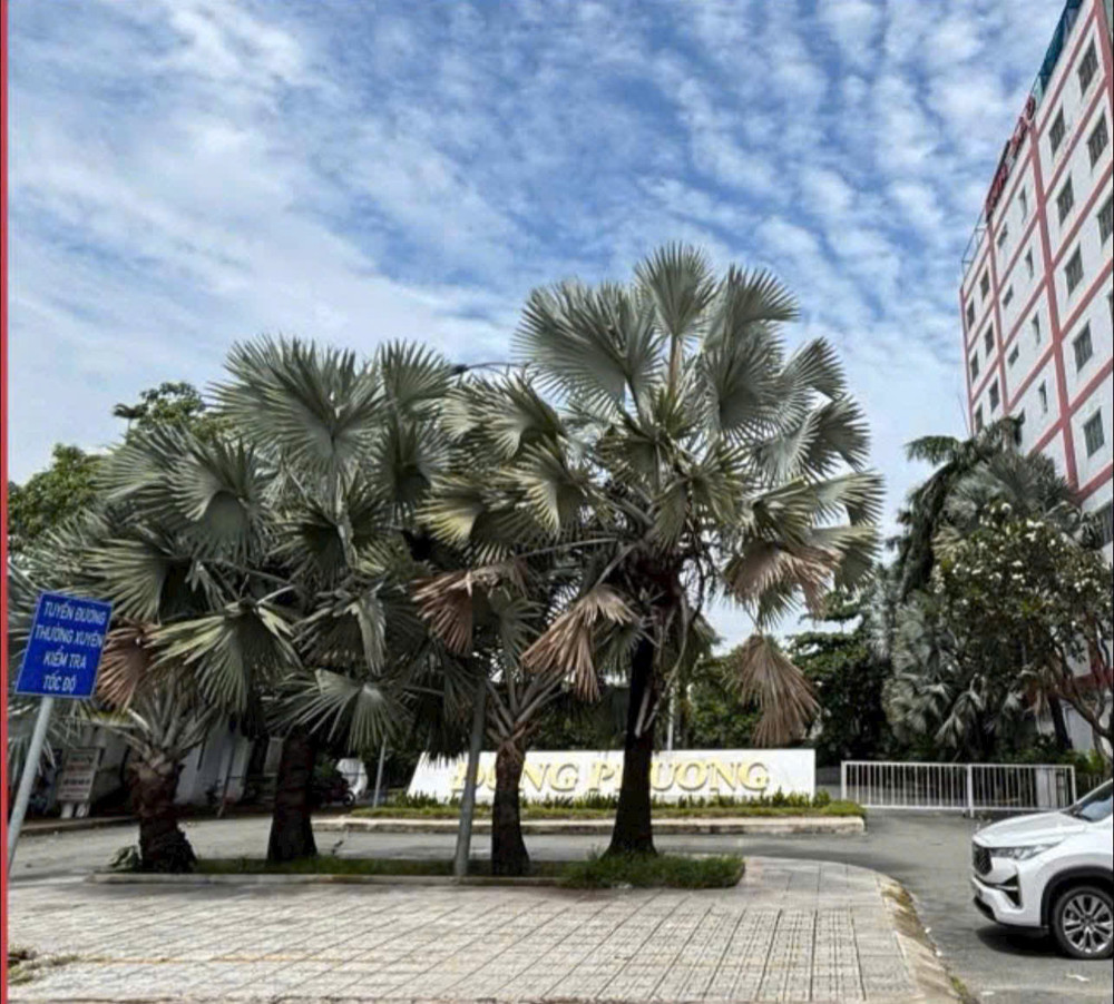 Siêu Quỹ Đất Mt Nguyễn Văn Quá – 2.631M² Full Thổ – Ngang 32M Nở Hậu Khủng