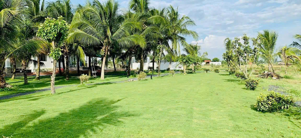 Nhà Vườn 6.000M² – “Thiên Đường Xanh” Giữa Lòng Củ Chi - Chỉ 2.5Tr/m² – Giá Quá Hời