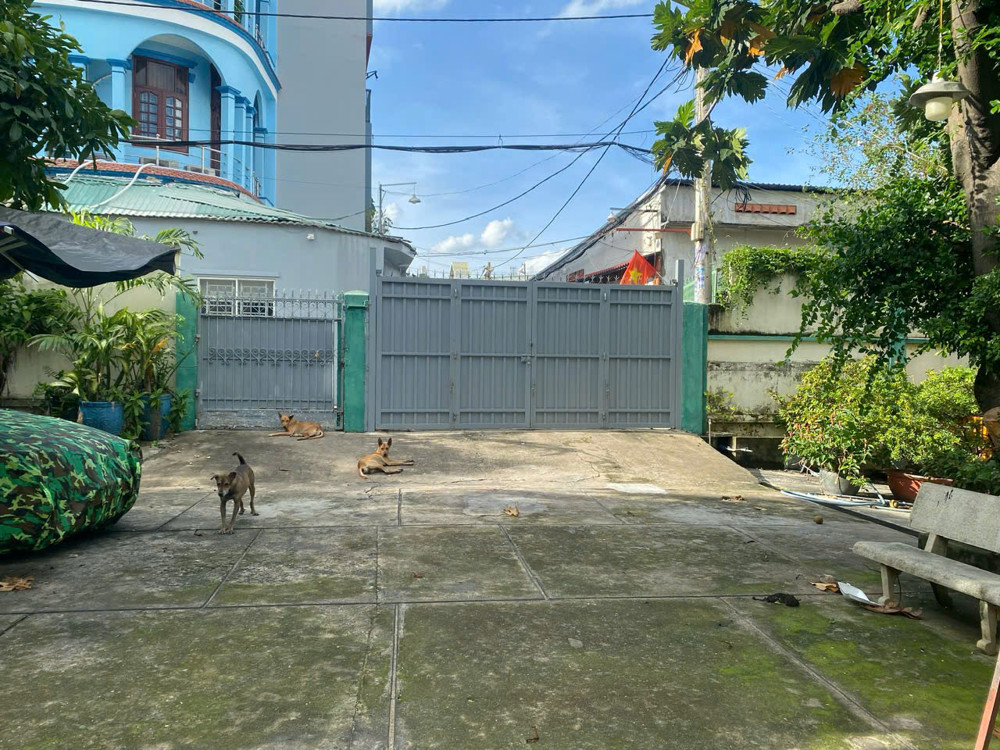 Siêu Biệt Thự + Quỹ Đất 1.090M² – Giảm Sốc Gần 30 Tỷ – Ngay Nguyễn Văn Quá