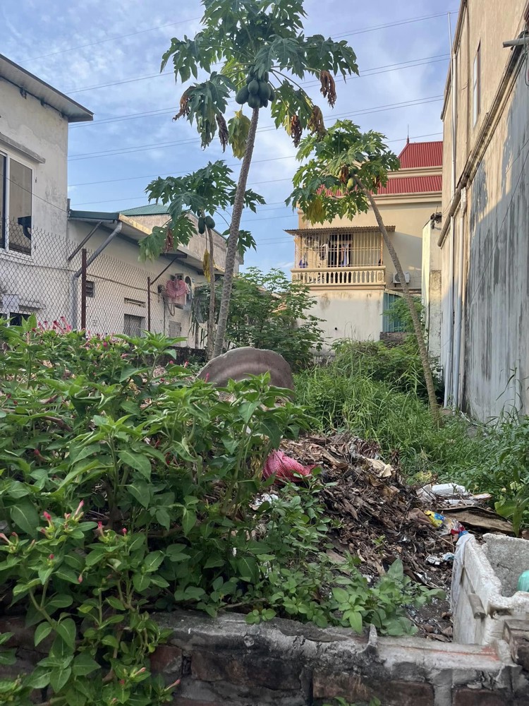 Chính Chủ Cần B….n Gấp – Giảm Sâu Lô Góc Kim Nỗ, Đông Anh Lô Góc 2 Mặt Tiền – Cực Hiếm, Thoáng Đẹp