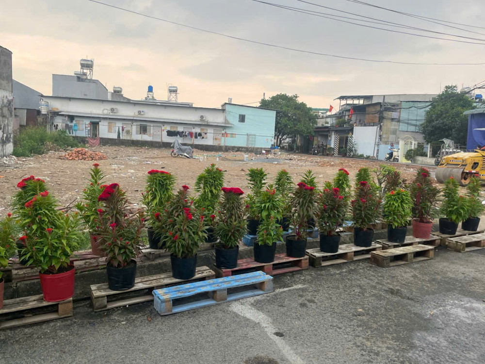 Siêu Phẩm 8 Lô Vừa Ra Sổ Mặt Tiền Nhựa Khu Nhà Lầu Giáp Q.12 Nhanh Chọn Lựa