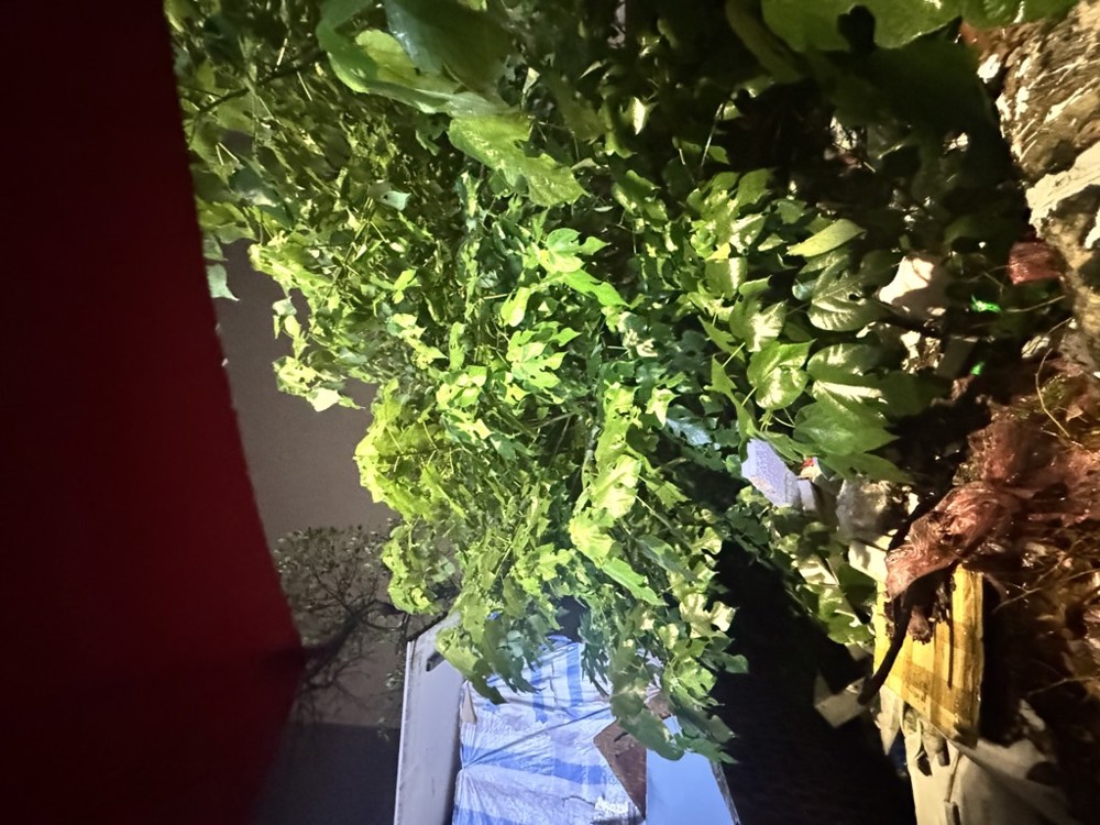 Bán Đất Ngõ 264 Ngọc Thuỵ 118M Oto Tránh Kinh Doanh Thông Hồng Tiến Chỉ 17 Tỷ Còn Tl