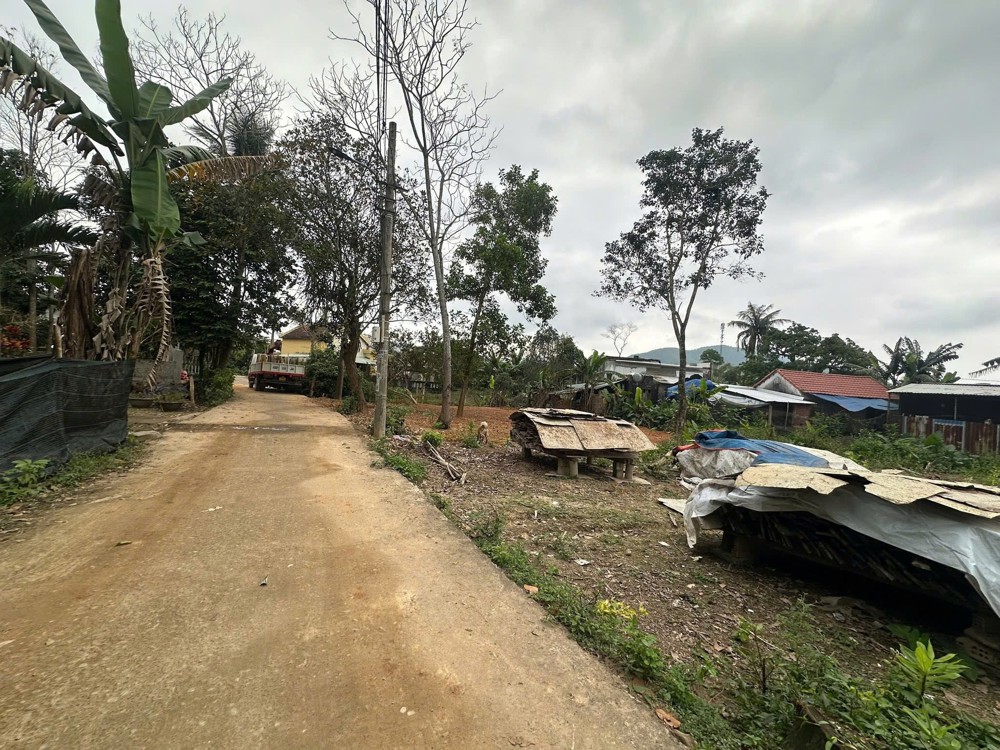 Đất Đẹp - Giá Tốt - Chính Chủ Cần Cần Bán Đất Tại Xuân Phú ( Hòa Sơn Cũ ), Phường Hòa Khánh, Tp