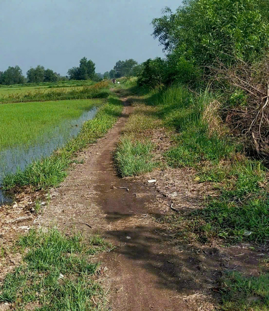 Đất (87X60) X. Tân An Hội – Ngang Khủng 87M – Chỉ 1,2Tr/m², Củ Chi