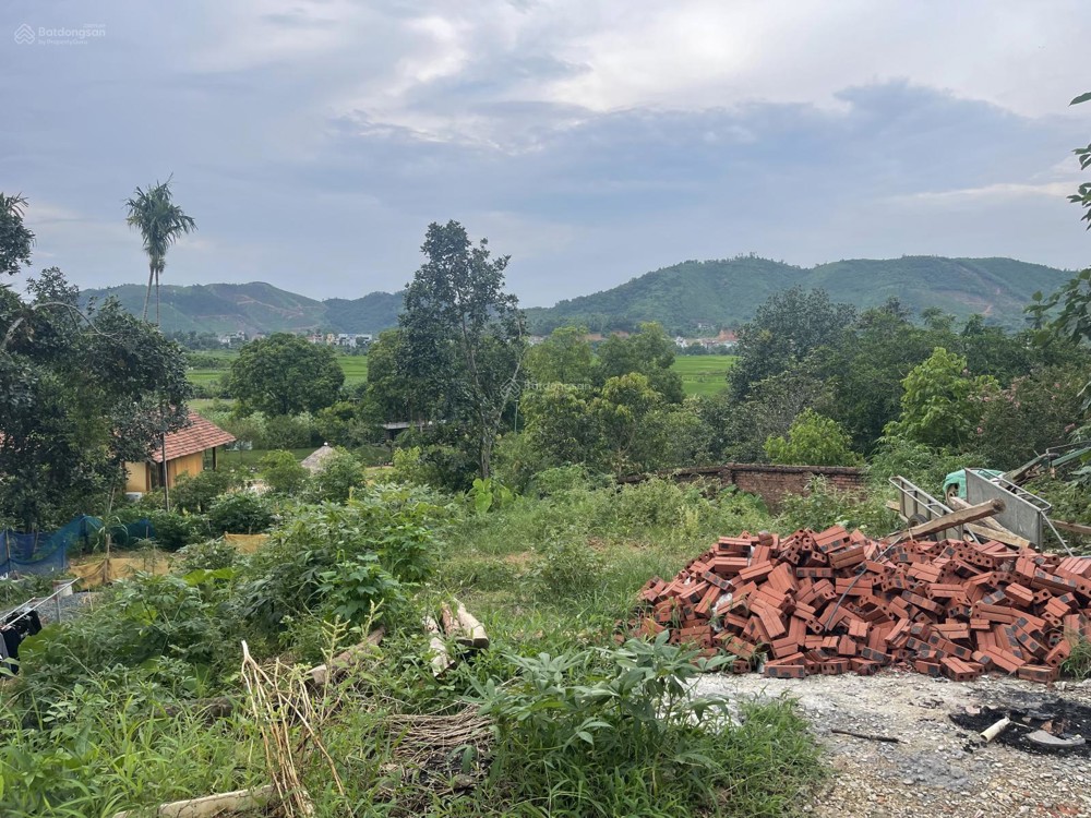 Bán 260M2 Đất Sẵn Sổ Gần Trường Quốc Tế Maya Mặt Tiền Ôtô Tránh Tại Tiến Xuân