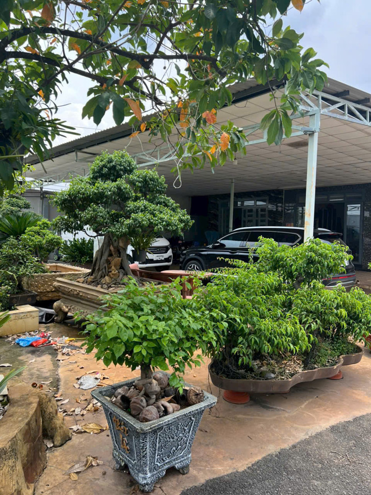 Siêu Phẩm Kho Xưởng 6.000M² – Mặt Tiền Huỳnh Thị Na – Xe Container 24/7