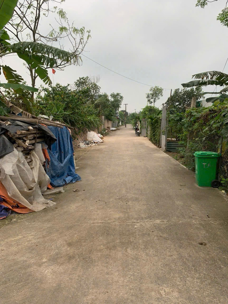 (Siêu Hiếm) Bán 50M² Tại Tân An- Hiền Ninh- Sóc Sơn- Hn. Đường Bìa Làng 6M Ngõ Thông. Nhỉnh Tỉ