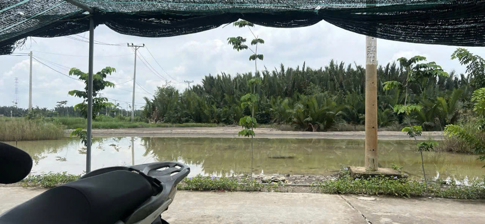 Bán 555M2 Đất Sẵn Sổ Mặt Tiền Đường Cá Súc-Bình Khánh-Cần Giờ