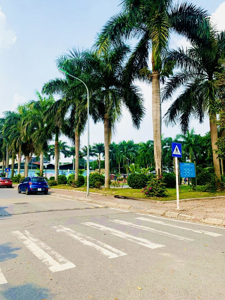 Liền Kề Diamond Long Biên, 105M X 7 Tầng, Mt 6.5M, Vị Trí Đắc Địa, Vừa Ở Vừa Kinh Doanh