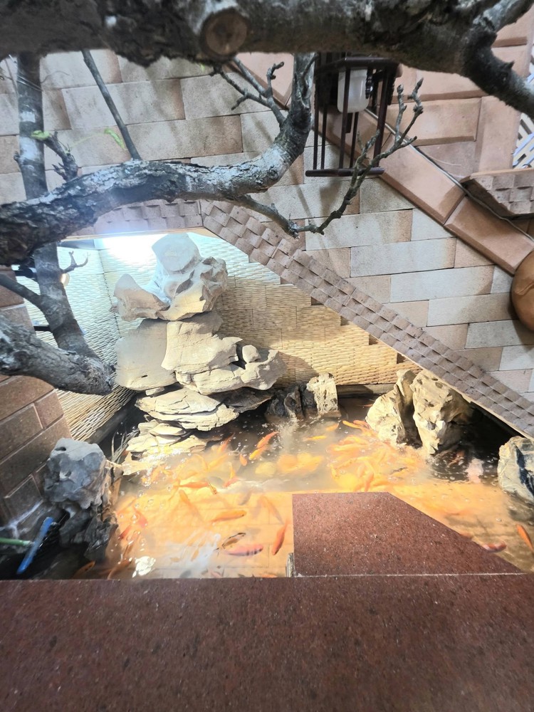 Bán Nhà Phố Đồng Cổ 48M 4T Mt5 M Giá 14 Tỷ Ngõ Thông Gần Đường Ô Tô