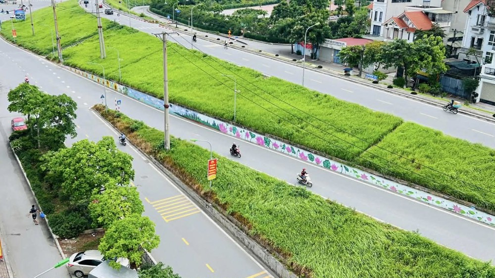 Nhà Mặt Phố Lâm Du, 240M, Mặt Tiền 6M, Nở Hậu, Cách Cầu Trần Hưng Đạo 200M