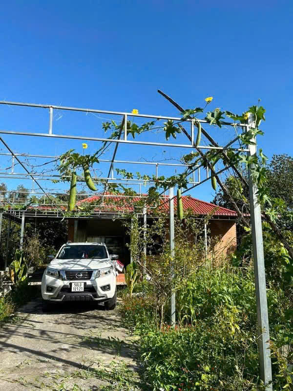 Bán Gấp Vườn Trái Cây Ven Kênh – 1.100M² – Chỉ 4,8Tr/m² – Giá Mềm Hiếm Có