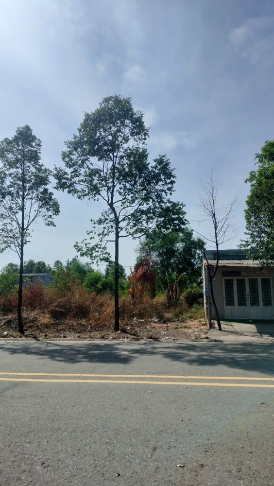 Đất Đẹp – Giá Tốt – Đầu Tư Là Sinh Lời - Bán Đất Mặt Tiền Phường Thới Hòa, Bến Cát, Bình Dương