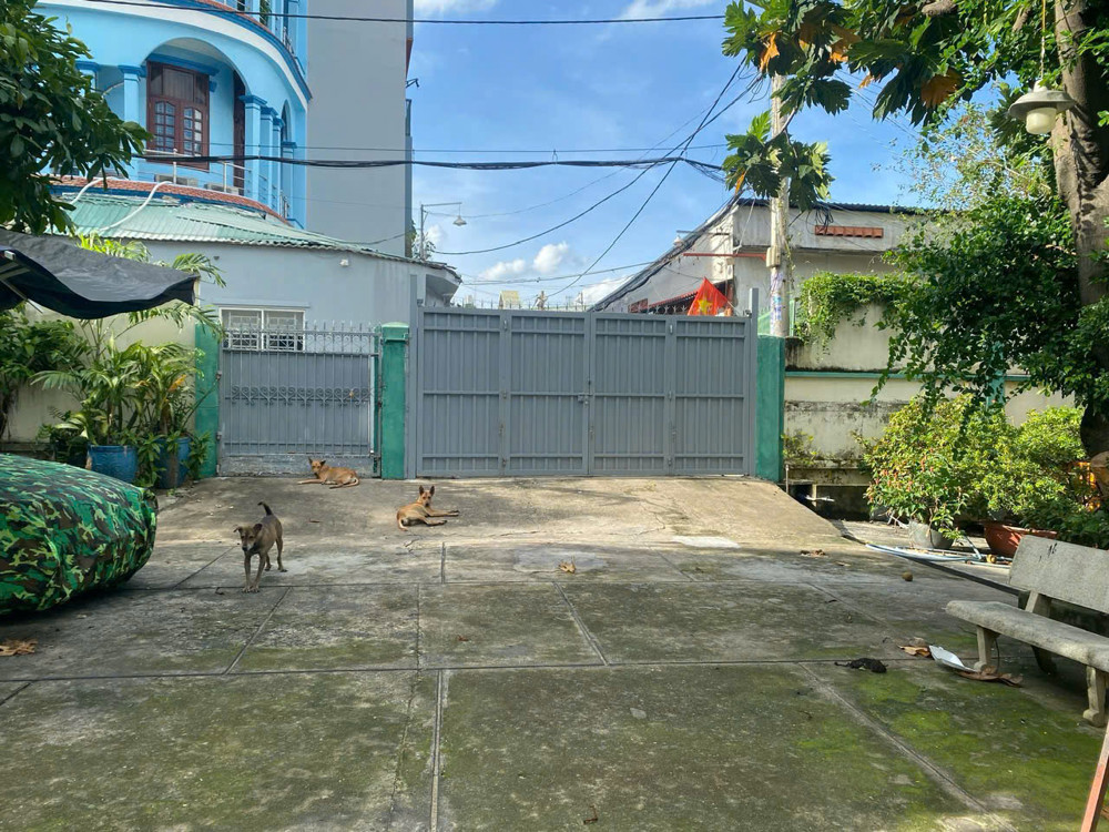 Siêu Phẩm Q12 – Giảm Sốc 20 Tỷ – 1.100M² Full Thổ Cư – Chỉ ~69Tr/m²