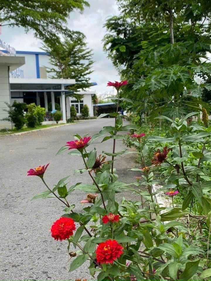 Xt082 Nhà Xưởng Sản Xuất Cho Thuê Lâu Dài, Thu Hút Nhiều Ngành Nghề Theo Qd Kcn