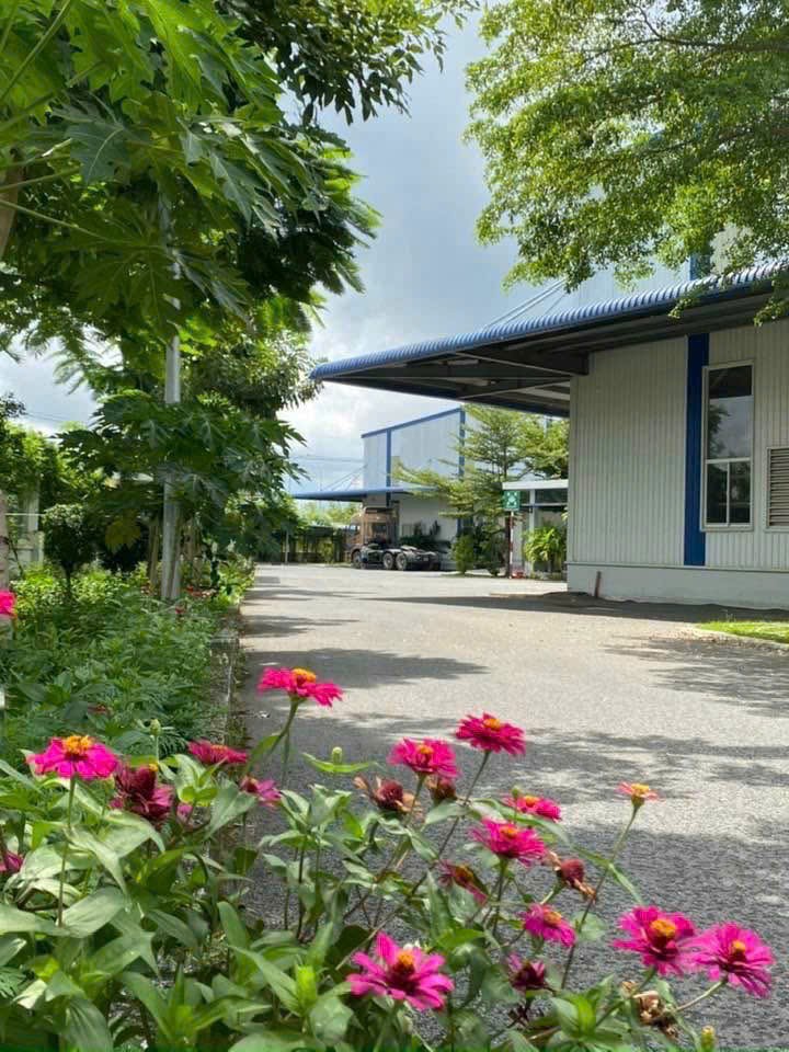 Xt082 Nhà Xưởng Sản Xuất Cho Thuê Lâu Dài, Thu Hút Nhiều Ngành Nghề Theo Qd Kcn