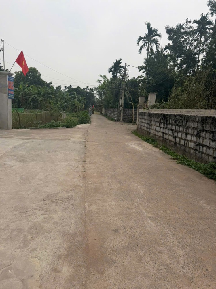 Bán Nhanh 2 Lô Đất Cạnh Khu Đấu Giá Xã Chính Lý, Huyện Lý Nhân, Tỉnh Hà Nam