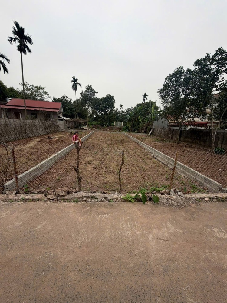 Bán Nhanh 2 Lô Đất Cạnh Khu Đấu Giá Xã Chính Lý, Huyện Lý Nhân, Tỉnh Hà Nam