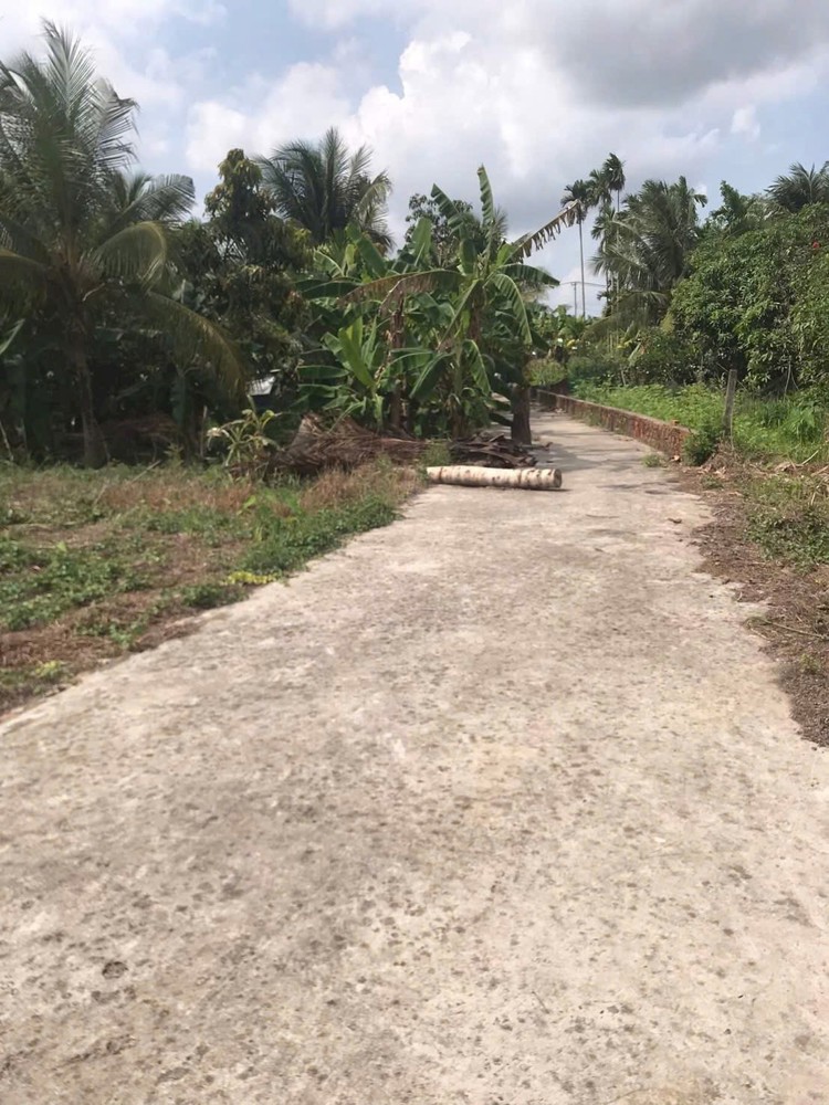 Đất Đẹp – Giá Tốt – Chính Chủ Cần Bán Đất Thị Trấn Cái Tắc, Châu Thành A, Hậu Giang