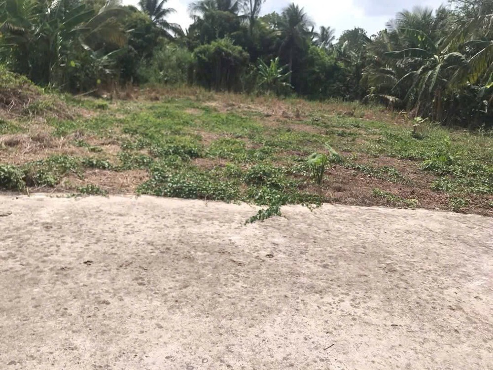 Đất Đẹp – Giá Tốt – Chính Chủ Cần Bán Đất Thị Trấn Cái Tắc, Châu Thành A, Hậu Giang