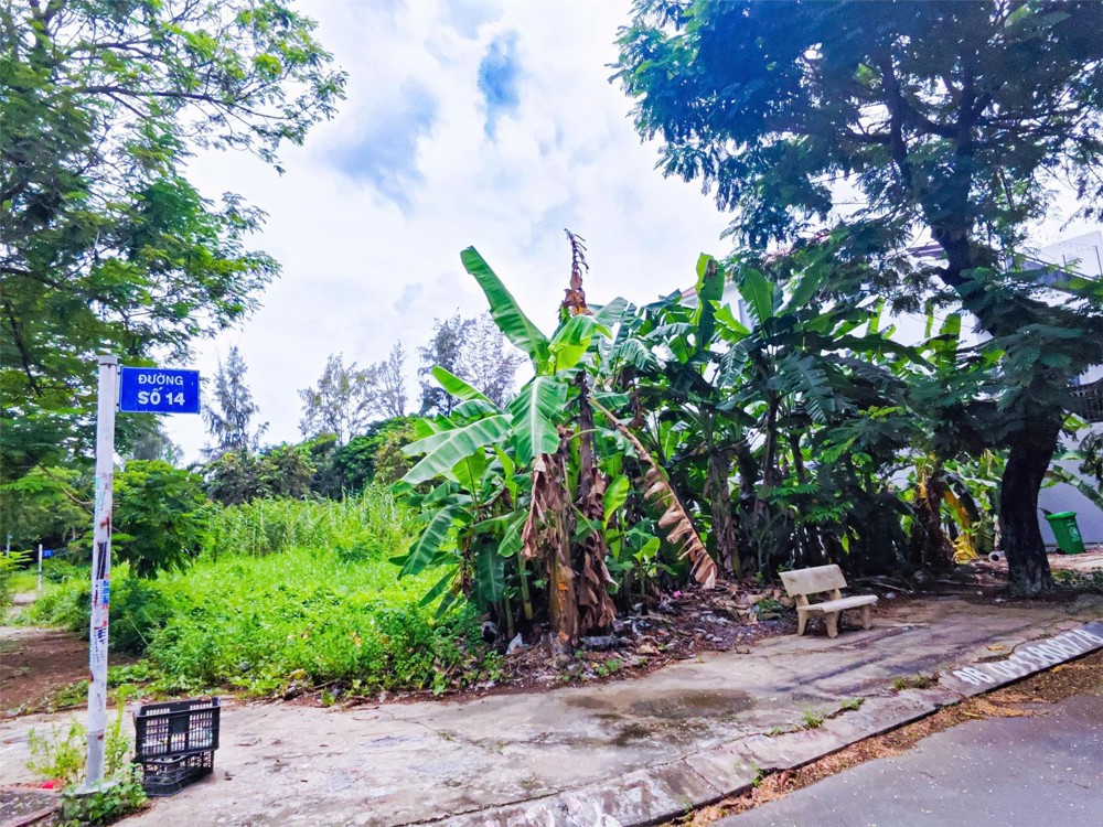 Sở Hữu Đất Biệt Thự Sadeco Phước Kiển Trục Chính Giá Tốt Hiếm Có