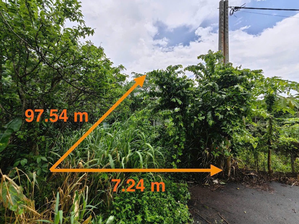 Nhà Cấp 4 Châu Đức Brvt, Ngân Hàng Thanh Lý Đất Sẵn Thổ, Ngang 7M, Xe Hơi Tiép Cận, Dt 1314.8M2,