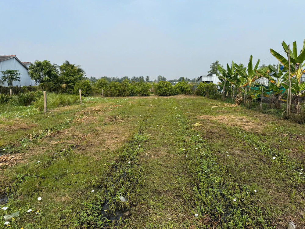 Chủ Bán Thửa Đất Lúa 877M9m2 (Khu Vực Cho Lên Thổ