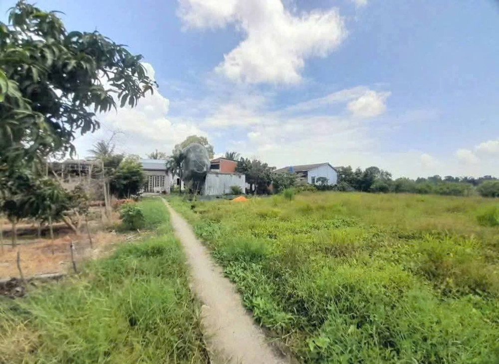 Chủ Bán Thửa Đất Lúa 877M9m2 (Khu Vực Cho Lên Thổ