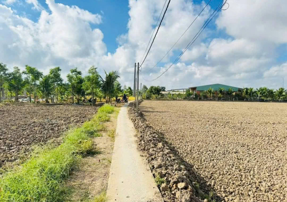 Chủ Bán Thửa Đất Lúa 877M9m2 (Khu Vực Cho Lên Thổ