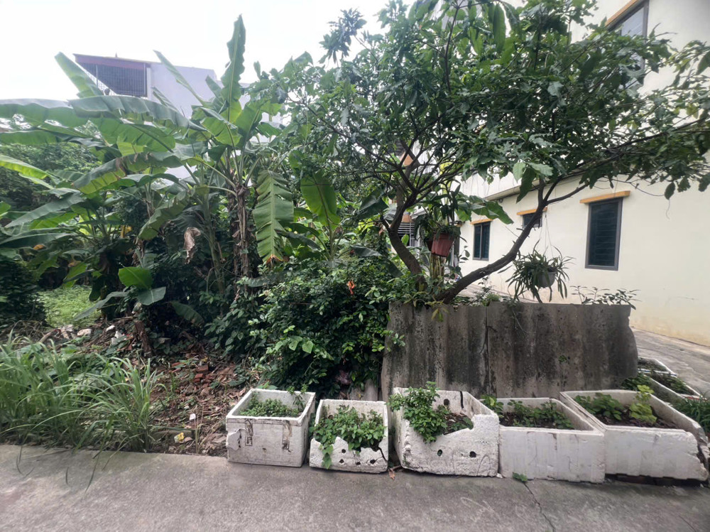 Cc Cần Bán Lô Đất 191M - Lai Xá- Hoài Đức - Hà Nội.xây Ccmn Đỉnh- Giá Đầu Tư Rẻ Nhất Thị