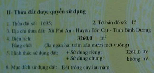 Bán Đất Giá Tốt – Diện Tích Lớn, Phù Hợp Đầu Tư Và Làm Vườn Tại Bến Cát, Bình Dương