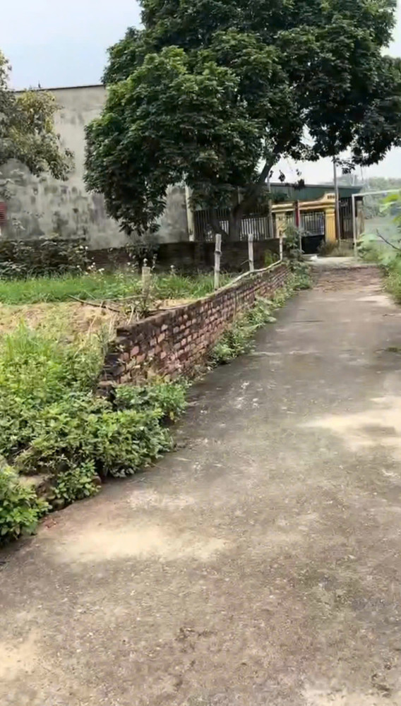 Chính Chủ Cần Tiền Bán Rẻ Lô Đất Cực Đẹp Tại Vân Phú, Việt Trì