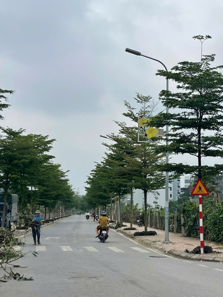 Đất Đẹp - Giá Tốt - Cần Bán Nhanh Lô Đất Vị Trí Đắc Địa Đường Ngọc Hồi, Yên Ngưu, Đại Thanh, Hà Nội