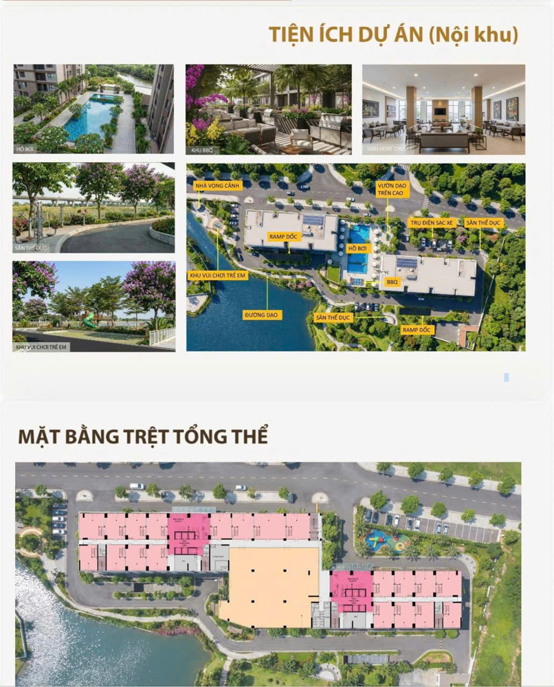 Căn Hộ 3Pn Mường Thanh Phú Hữu 81M² Chỉ Từ 3,6 Tỷ – Hiếm Hàng Khu Đông