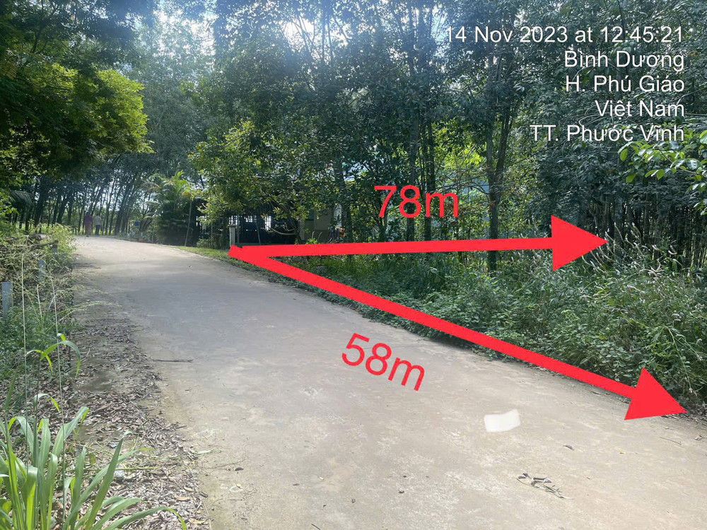 Đất Phước Vĩnh Phú Giáo, Ngân Hàng Thanh Lý Đất Sẵn Thổ, Dt 3553.7M2, Ngang 58M, Ô Tô Tiếp Cận