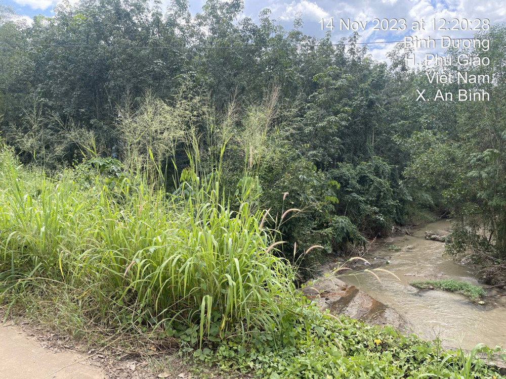 Đất Phước Vĩnh Phú Giáo, Ngân Hàng Thanh Lý Đất Sẵn Thổ, Dt 3553.7M2, Ngang 58M, Ô Tô Tiếp Cận