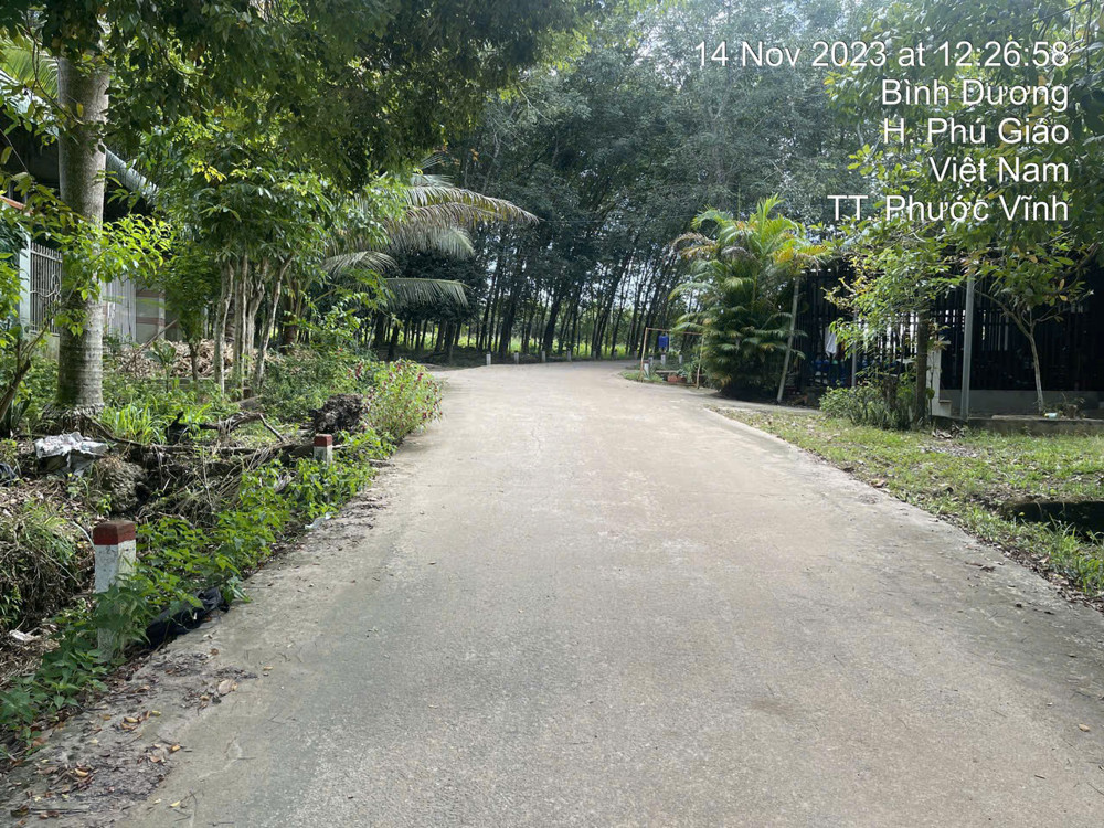 Đất Phước Vĩnh Phú Giáo, Ngân Hàng Thanh Lý Đất Sẵn Thổ, Dt 3553.7M2, Ngang 58M, Ô Tô Tiếp Cận