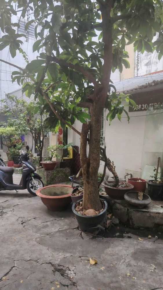 Bán Nhà Cấp 4, Hxh Cù Lao, Ngay Khu Phan Xích Long, Cn 240M2, 25X12m, Tiện Xây, 28,9 Tỷ