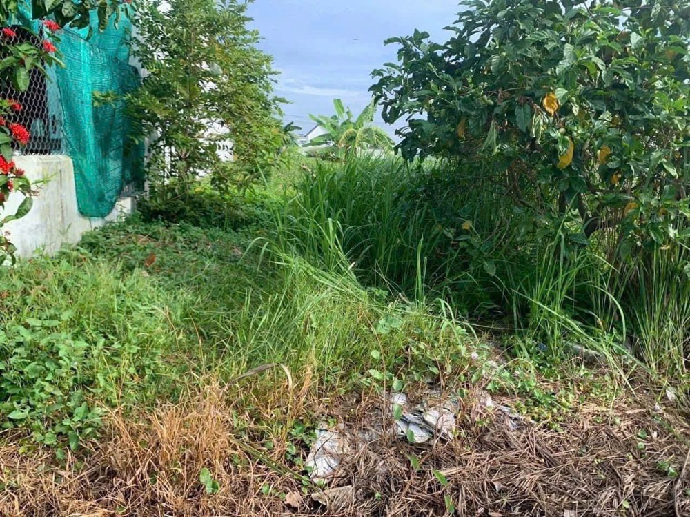 Đất Đẹp – Giá Tốt – Chính Chủ Cần Bán Gấp Đất Tại Xã Nhị Thành, Huyện Thủ Thừa, Long An