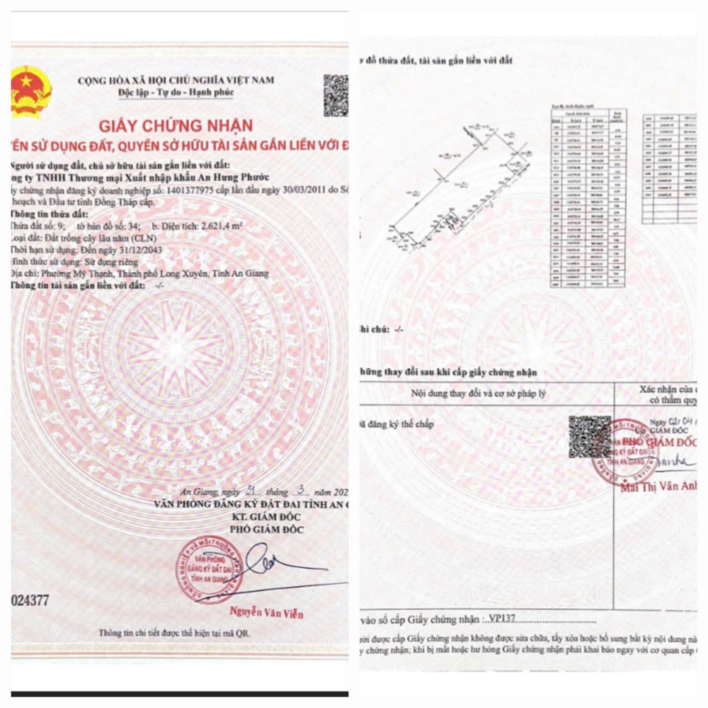 Ngân Hàng Bidv Thanh Lý Tài Sản Nhà Máy Betong Delta An Giang